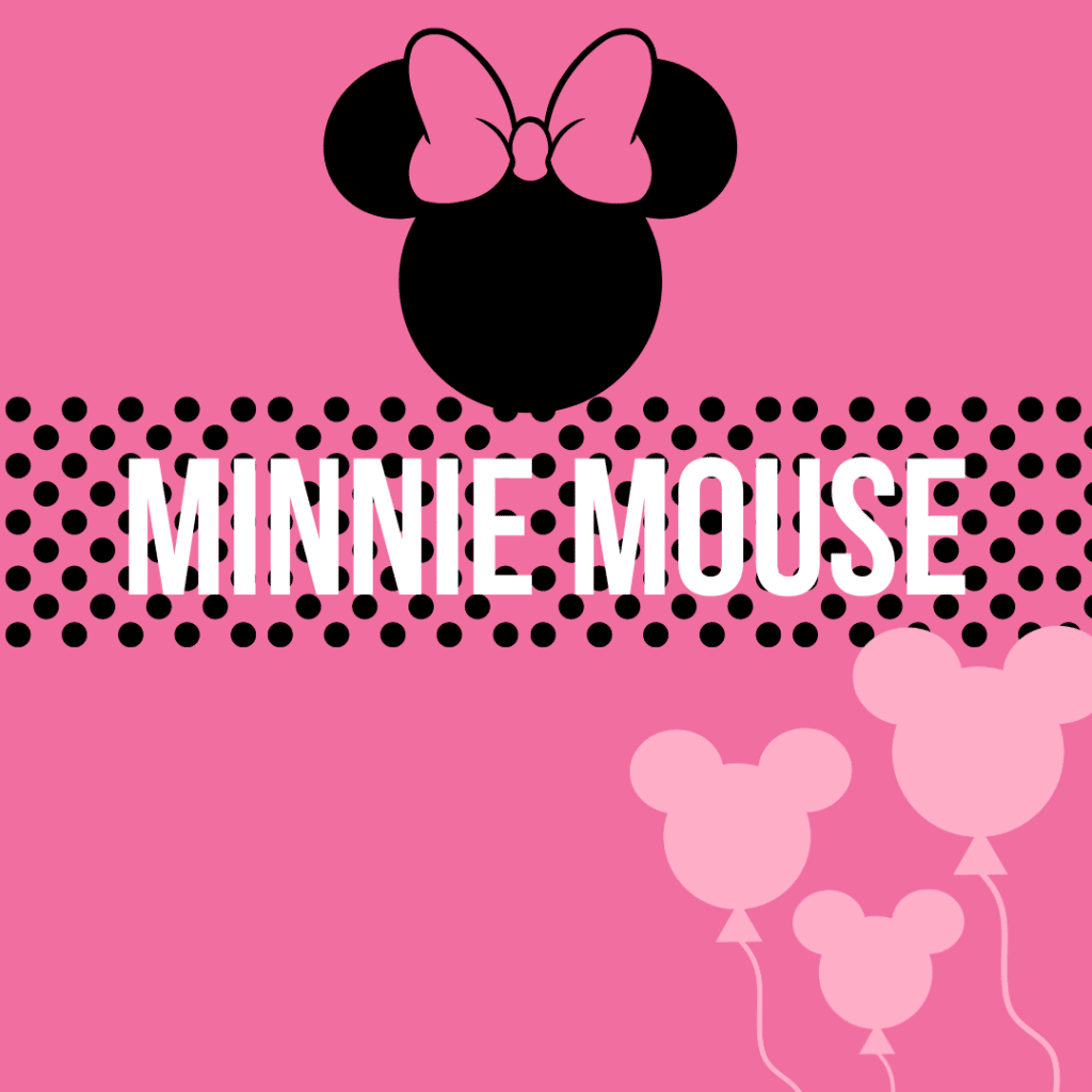 Birthday Party Venue Hire Fort Mill